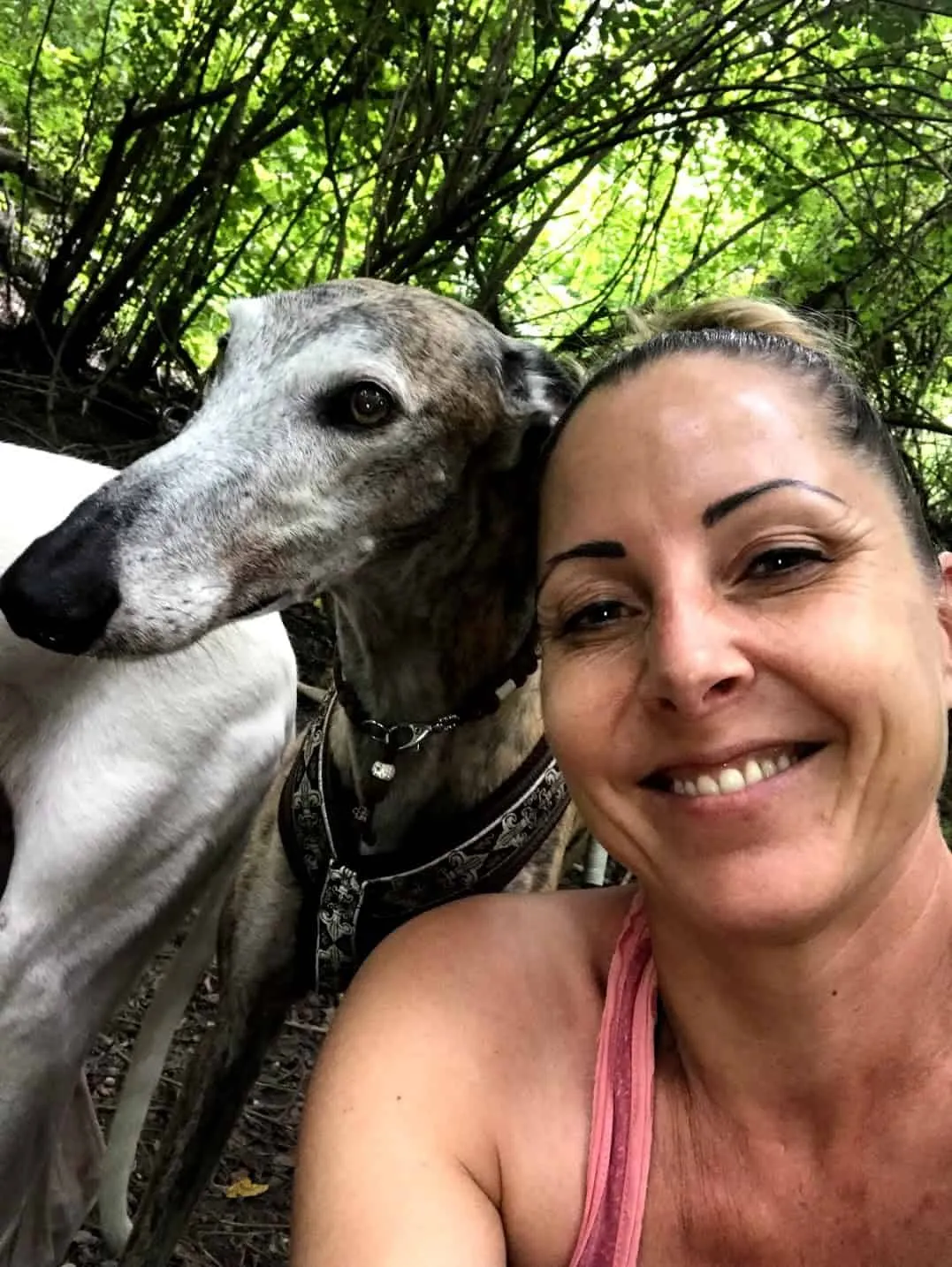 Ausflug mit Hund in die Donau-Auen rund um Maria Ellend
