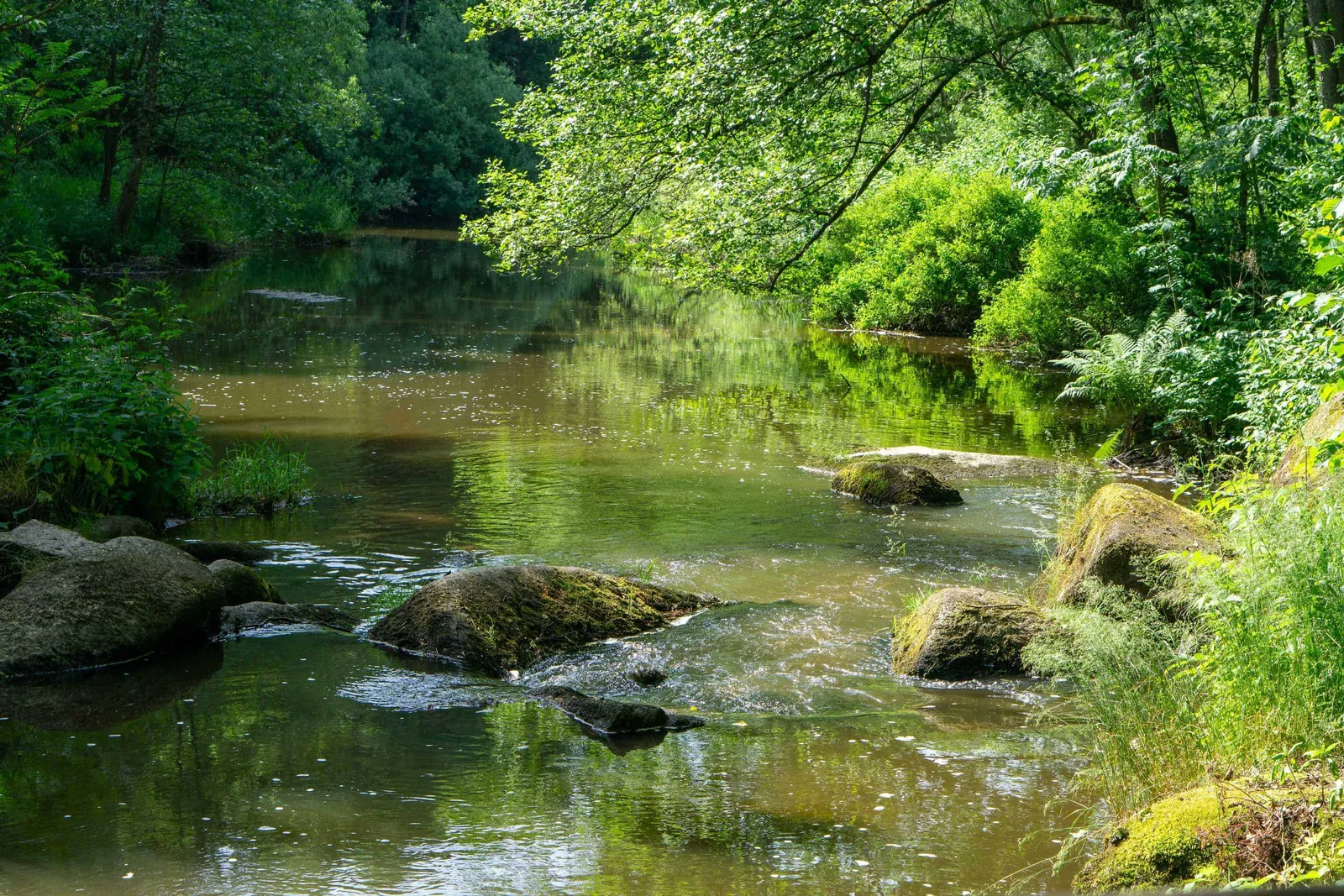 Wasserzulauf zum Herrensee
