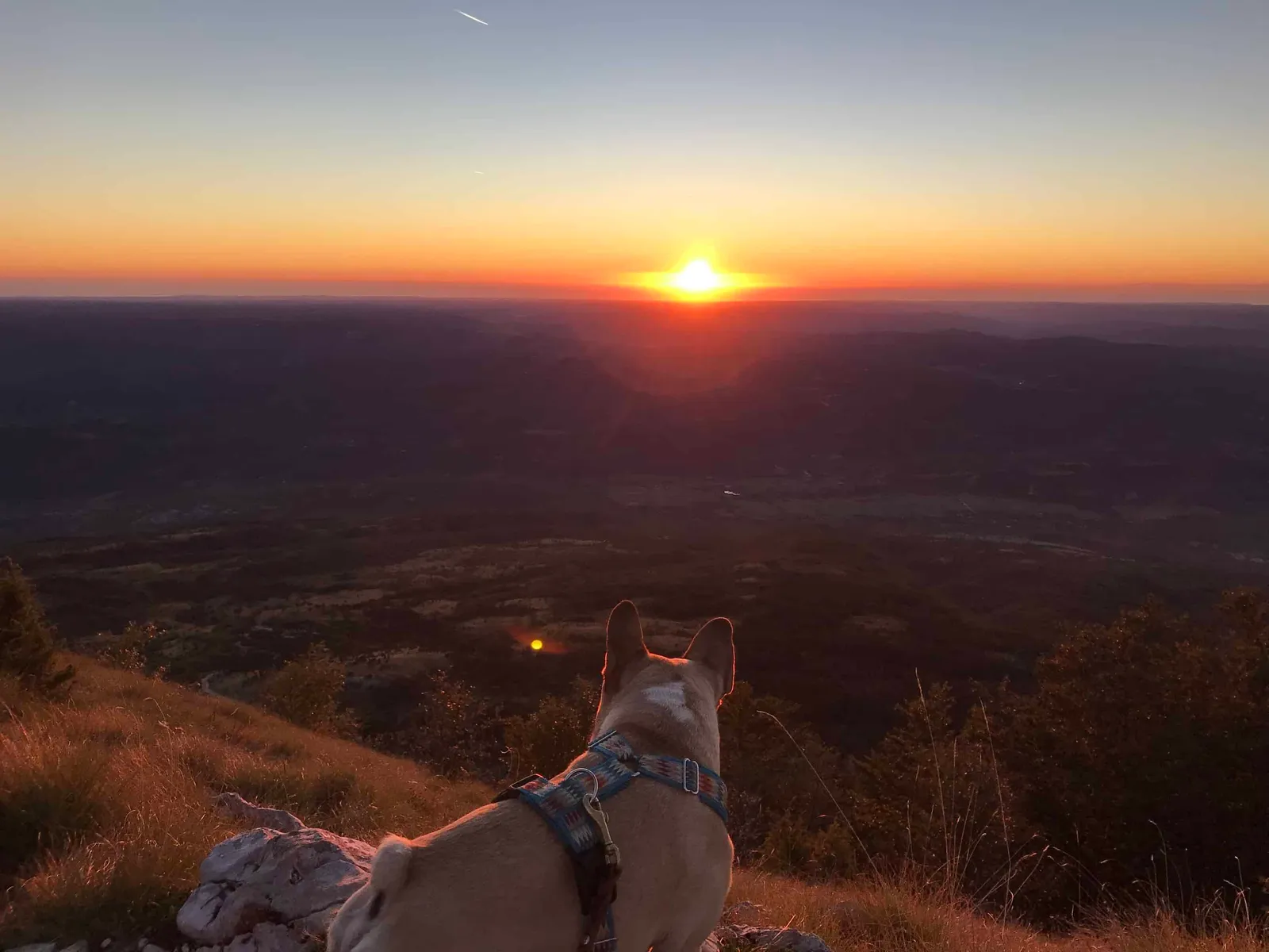 Urlaub Wandern Hund Vojak Kroatien