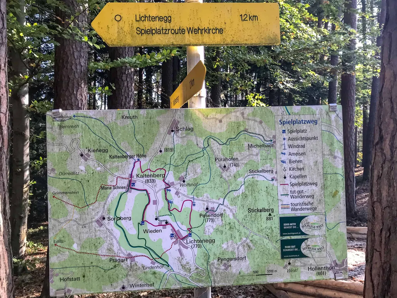Hundefreundliche Wanderung durch die Bucklige Welt, NÖ