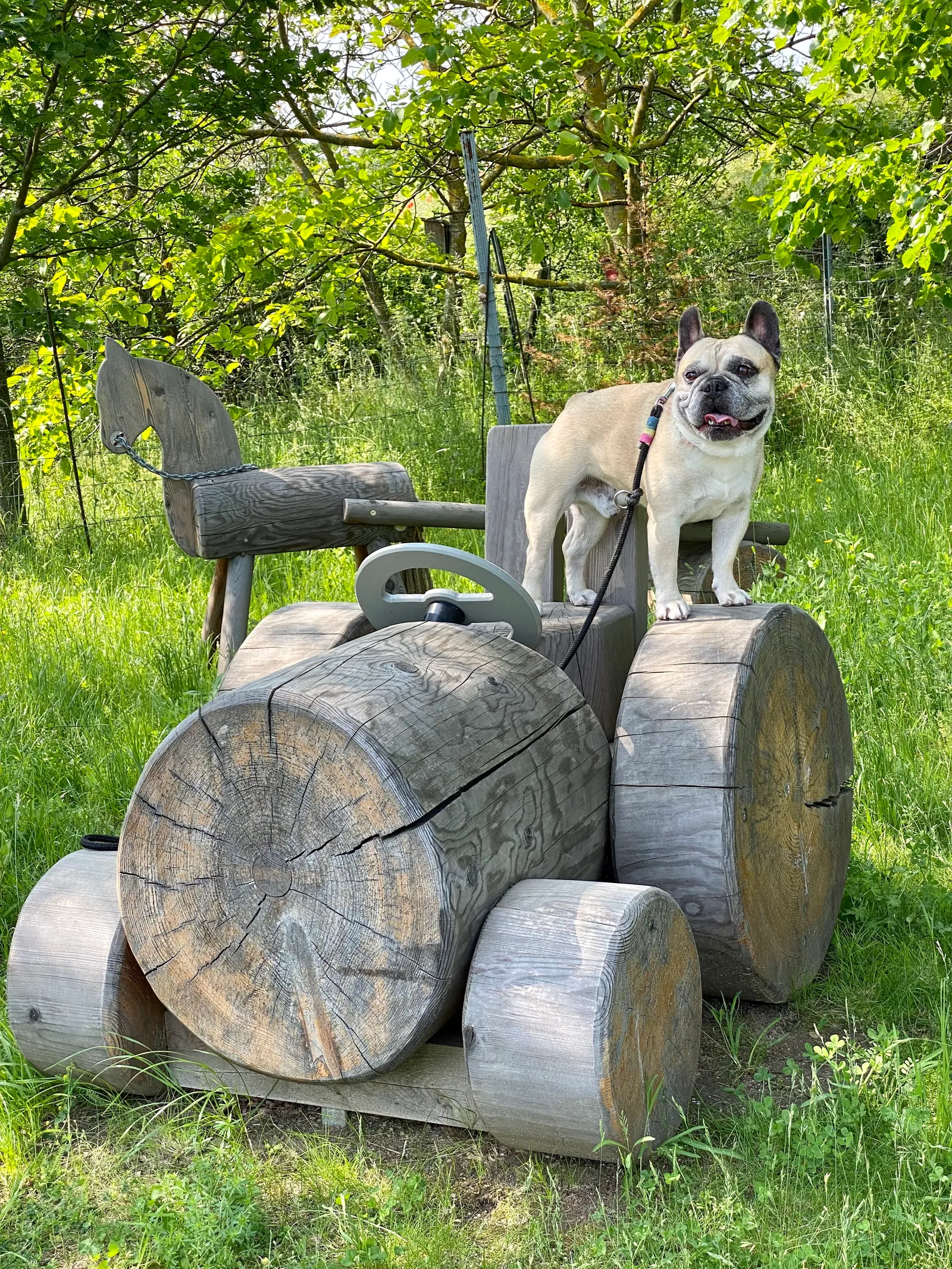 Murphy-am-Traktor_Oggau-Weinwanderweg