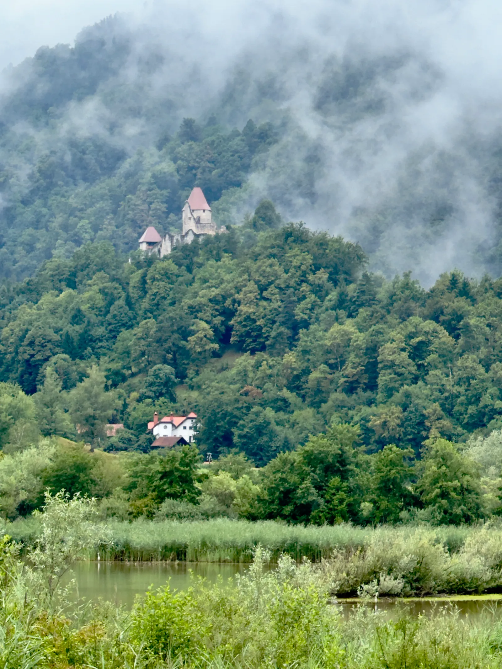 Die Burgruine Grad Žovnek thront auf einem bewaldeten Hügel im Morgennebel über einem Teich.