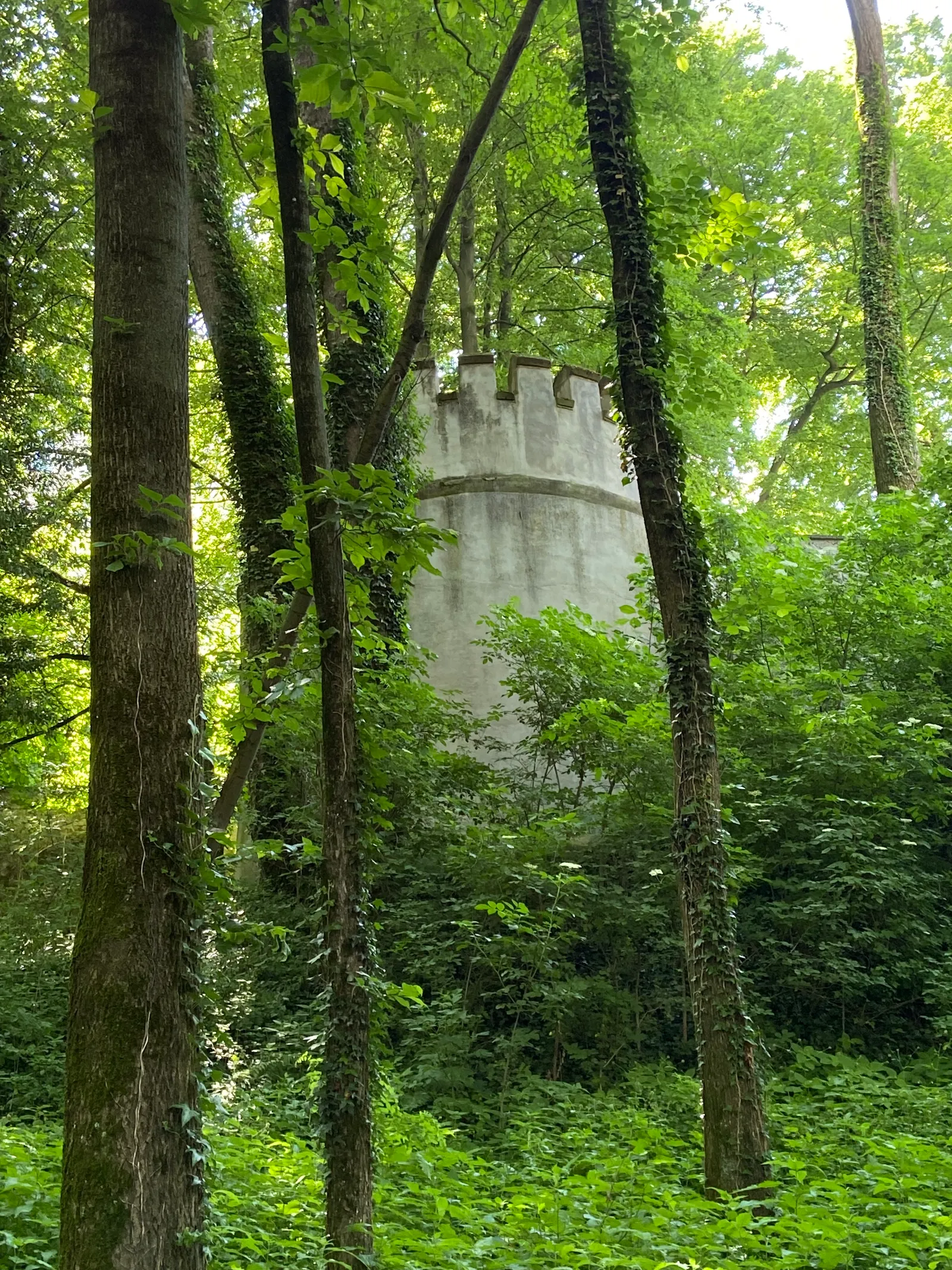 Schloss Wolfsberg