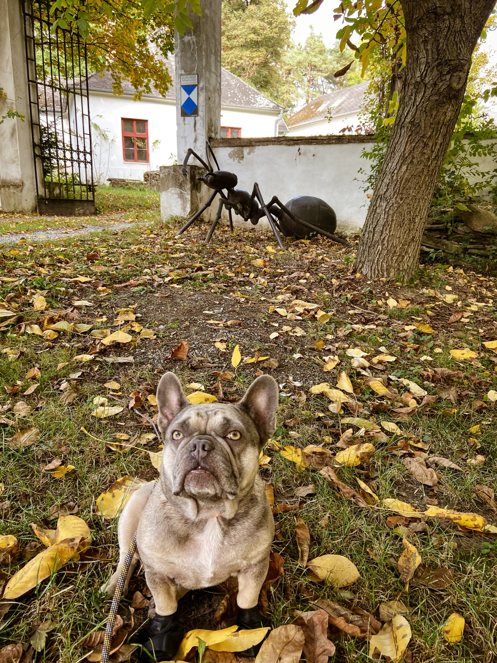 Skulpturenpark Neuhodis Burgenland Archie Ameise