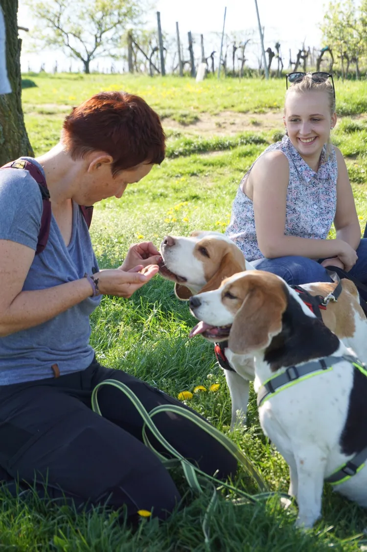 Hundeurlaub
