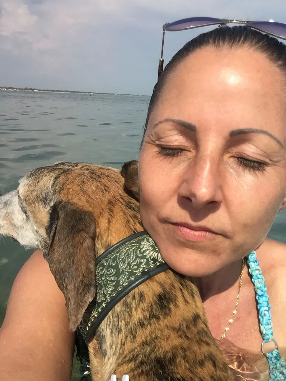 Urlaub mit Hund in Italien - Spanische Galgos in Cavallino-Treporti