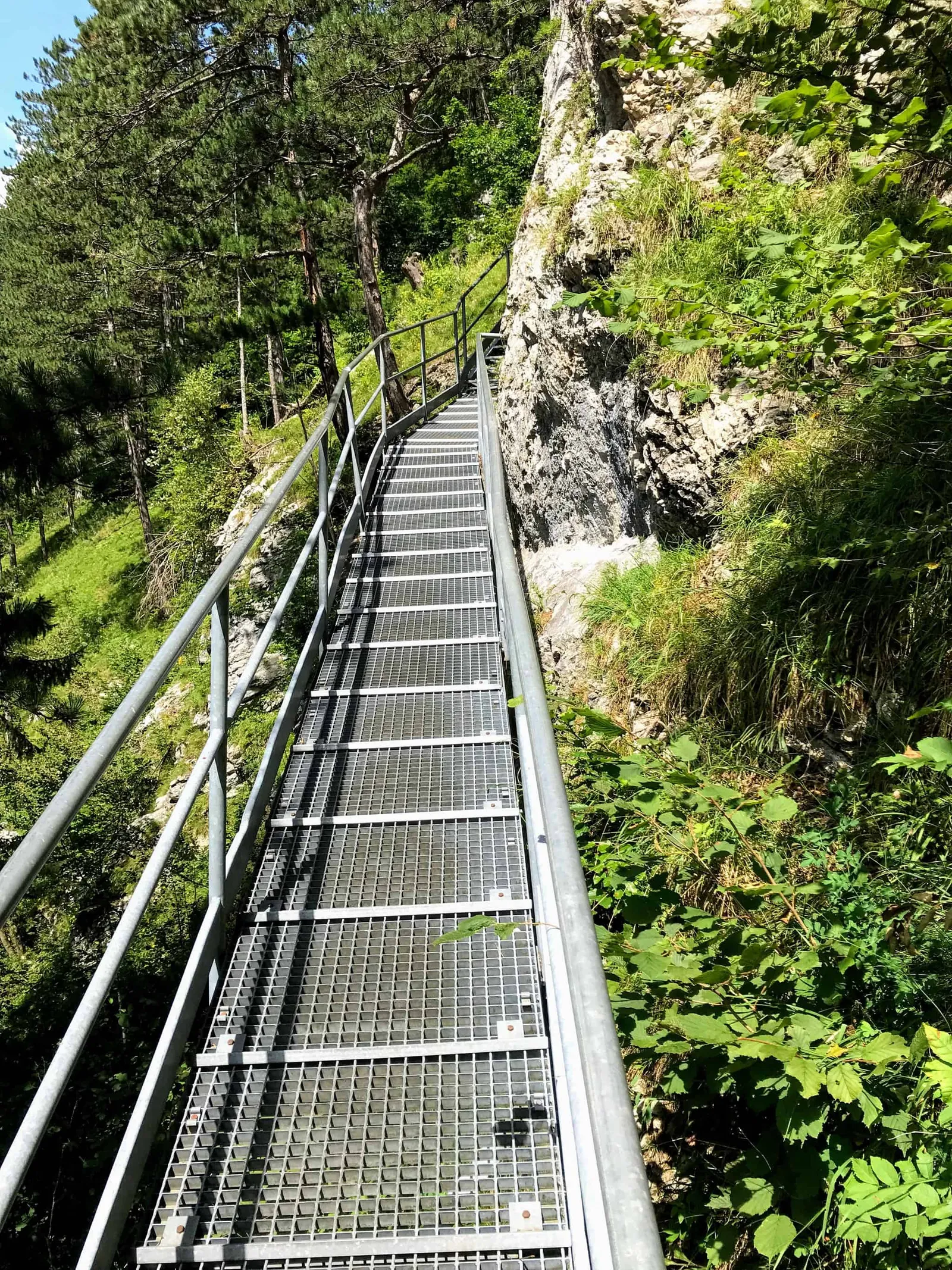 Wandern mit Hund im Höllental an der Schwarza, Niederösterreich.