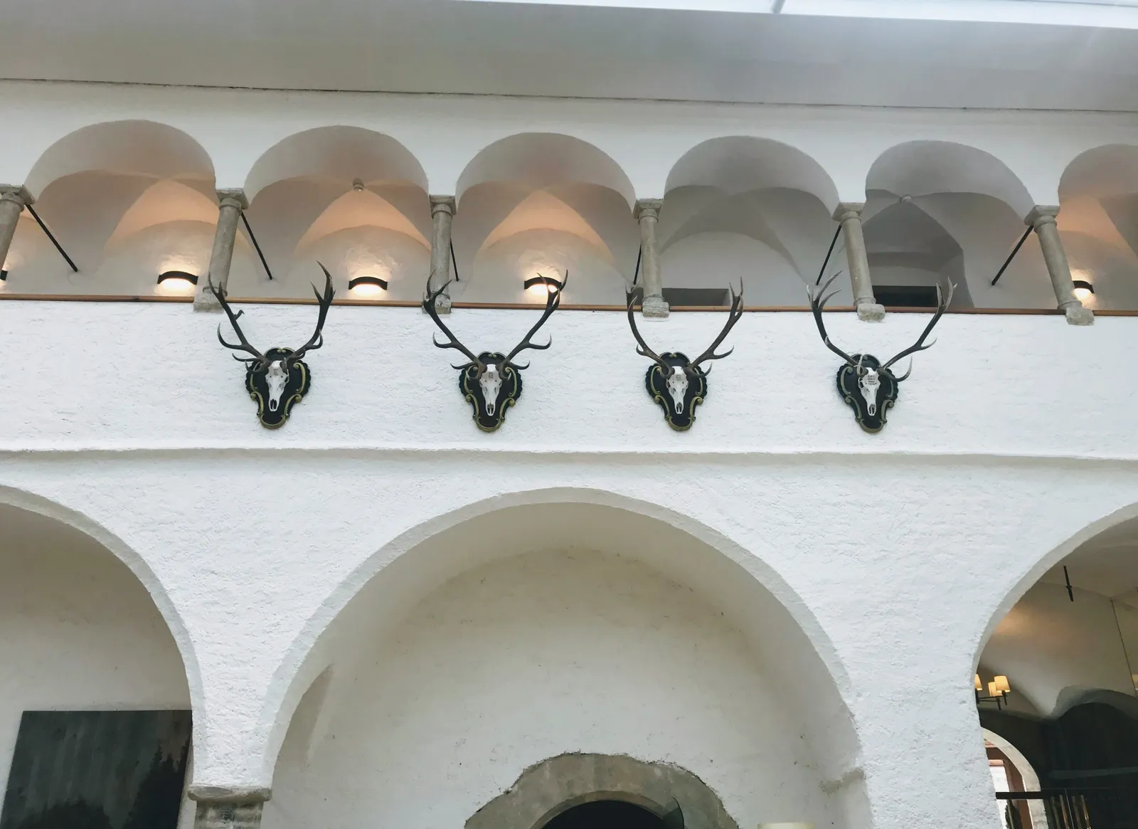 Hundehotel
