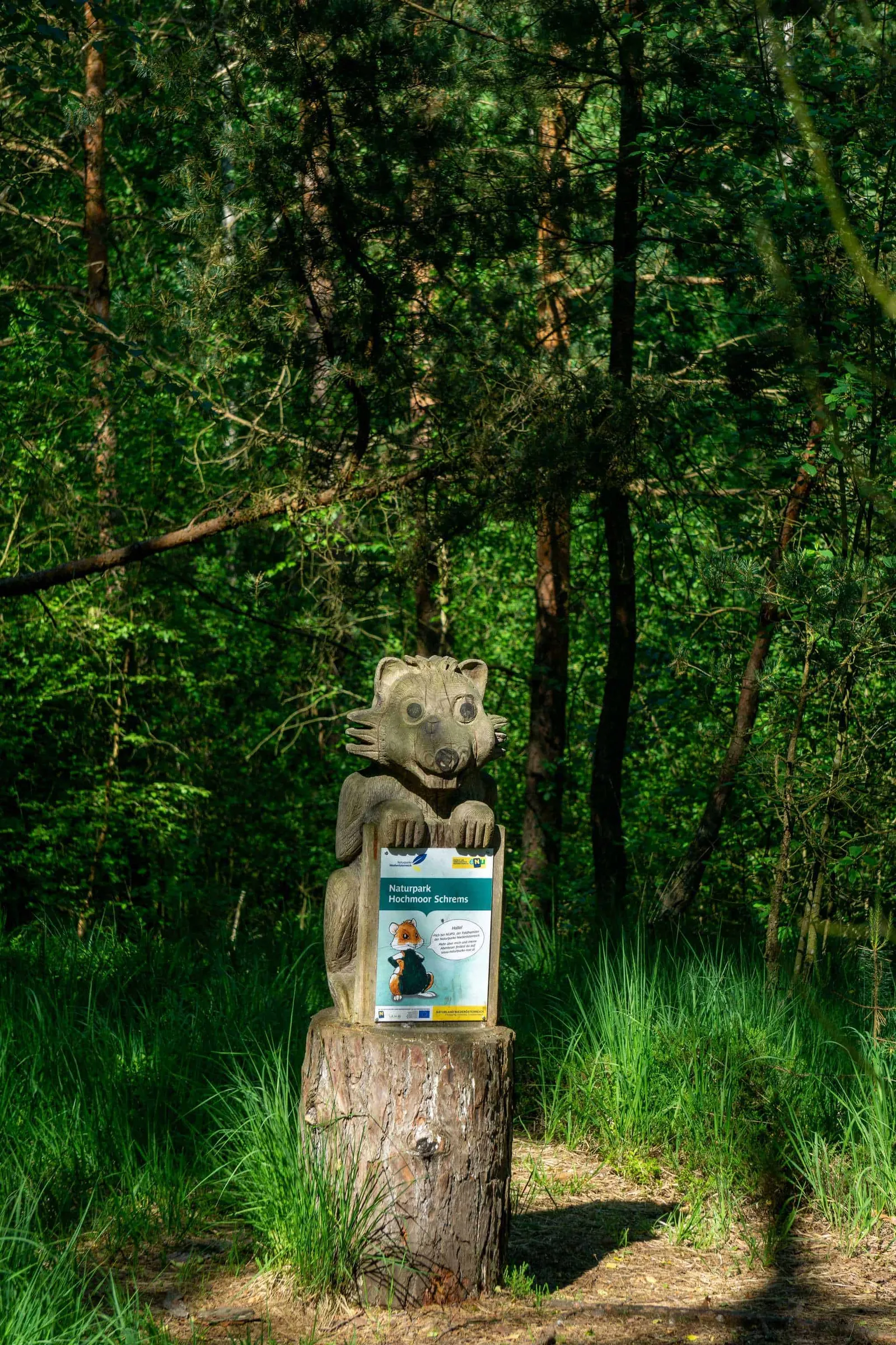 Maskottchen Hochmoor Schrems