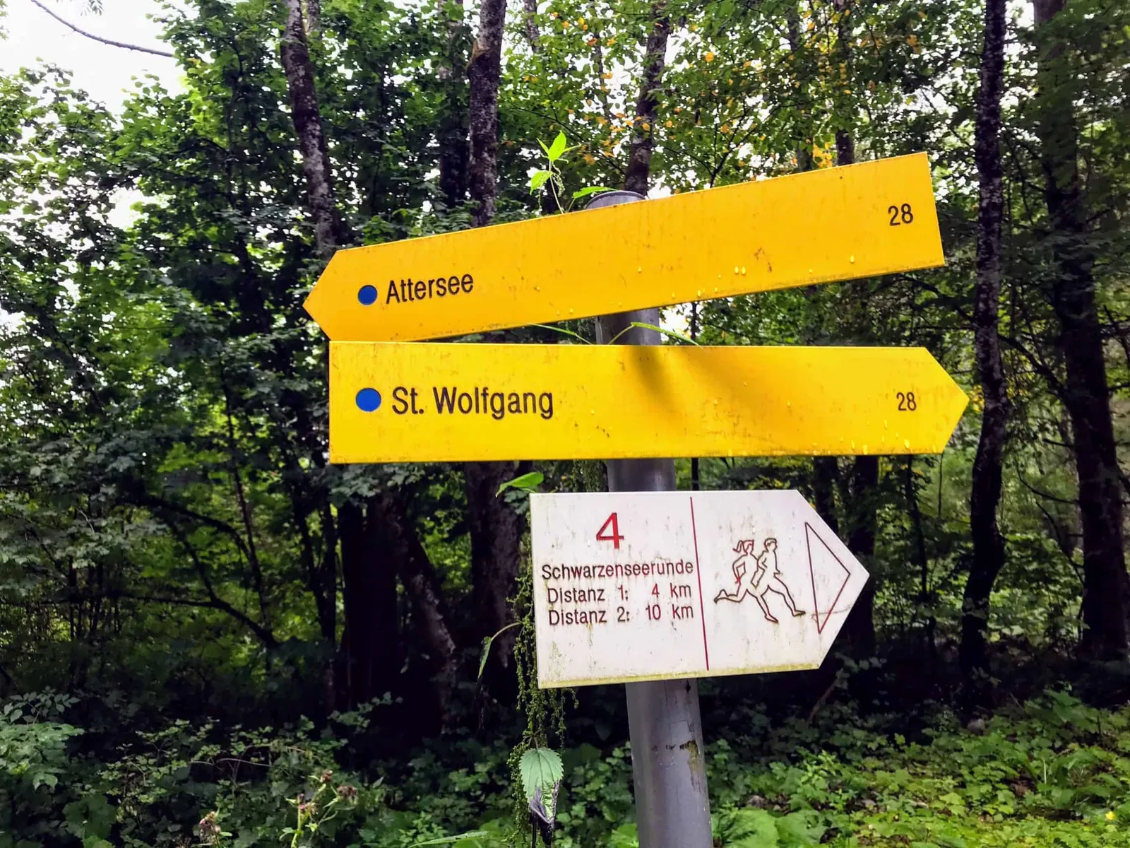 Schwarzensee Salzkammergut