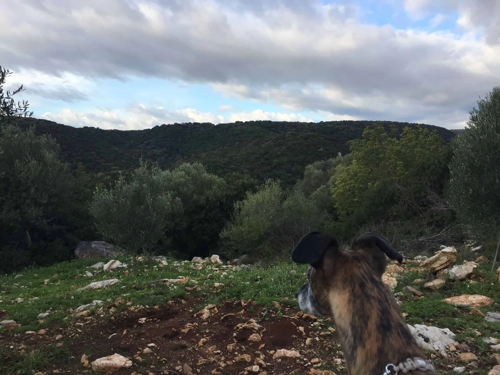 Urlaub mit Hund in Griechenland - über Aussteiger und Wanderungen