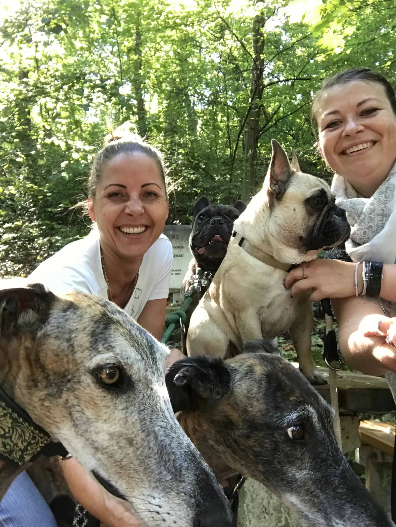 Wanderungen mit Hund rund um Baden bei Wien, Niederösterreich