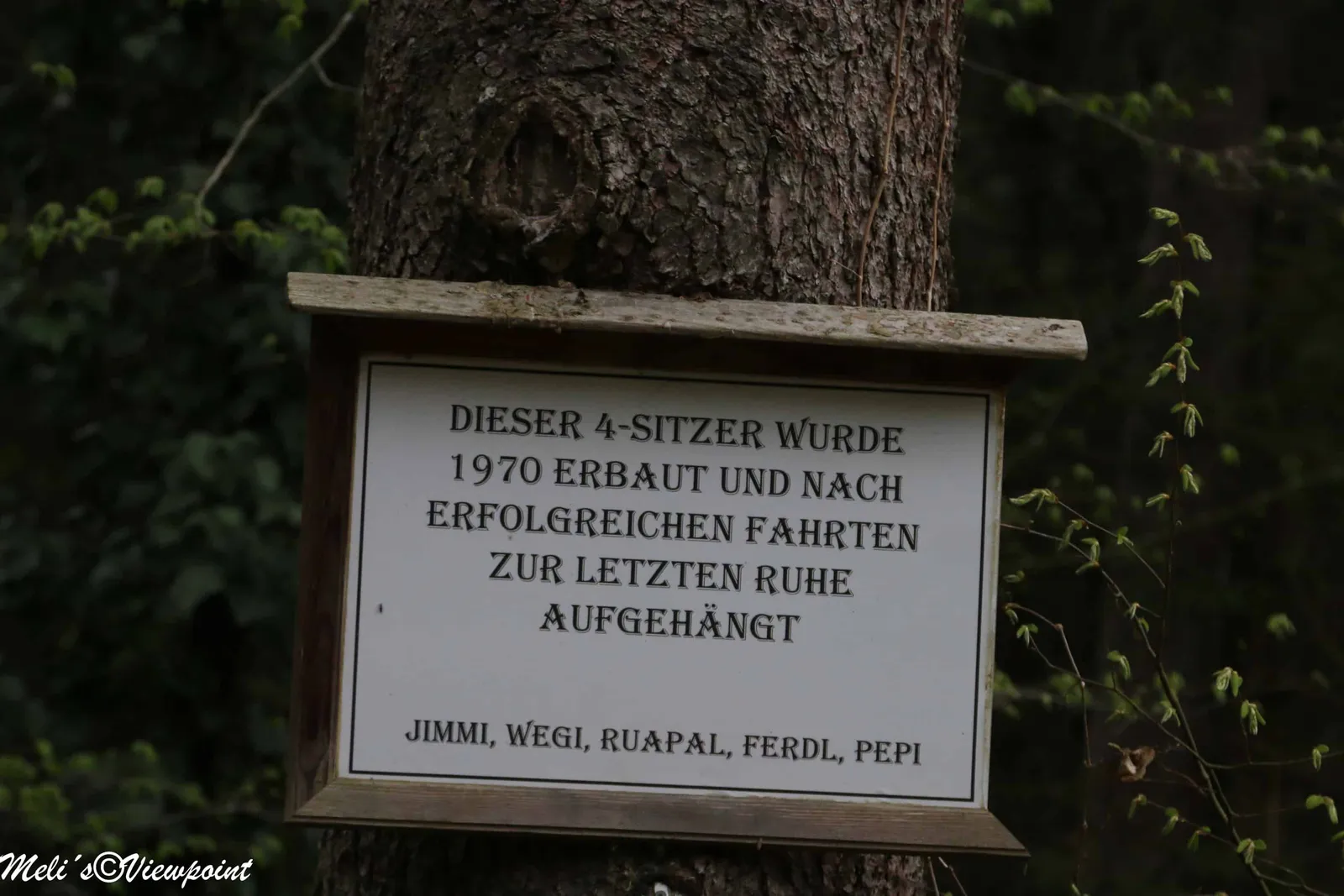 Kräuterwanderung mit Hund in Wöllersdorf-Steinabrückl