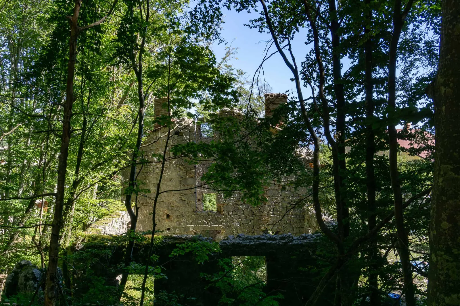 Urlaub Wandern Hund Vojak Kroatien