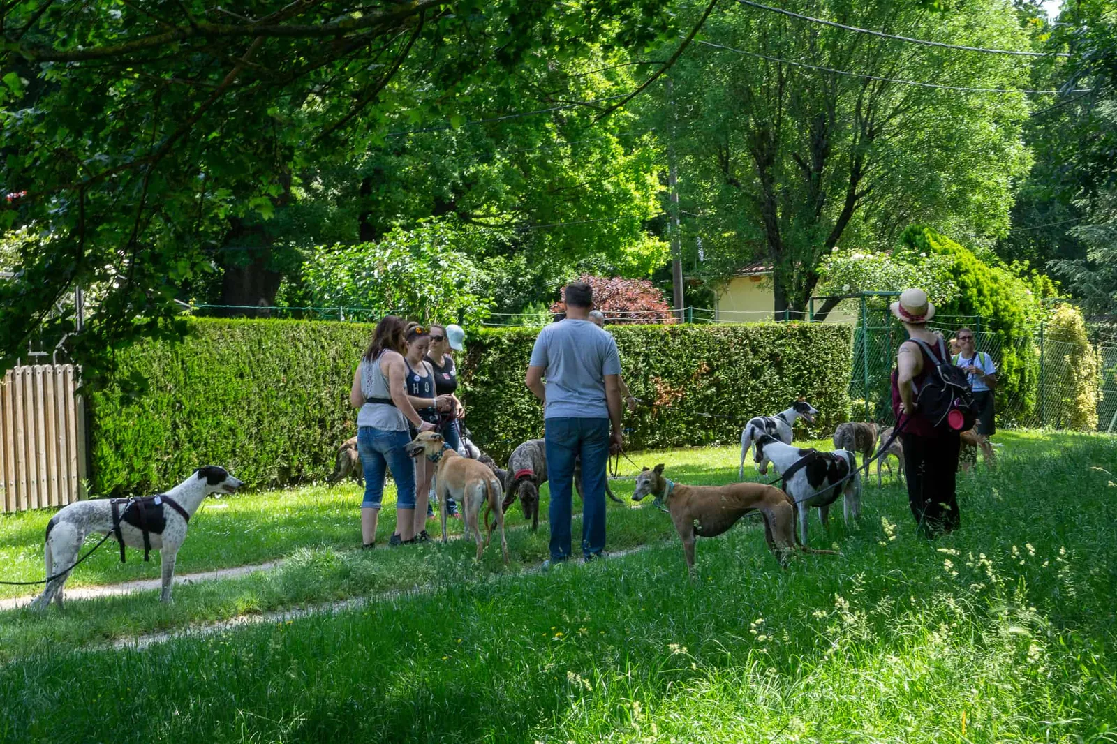 GGGW 2019 Vienna