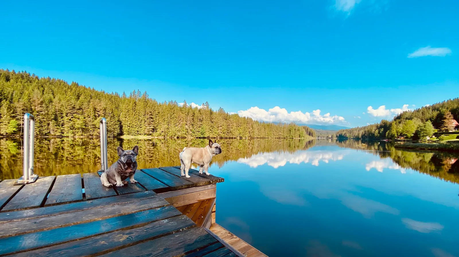 Urlaub am Packer Stausee, Steiermark