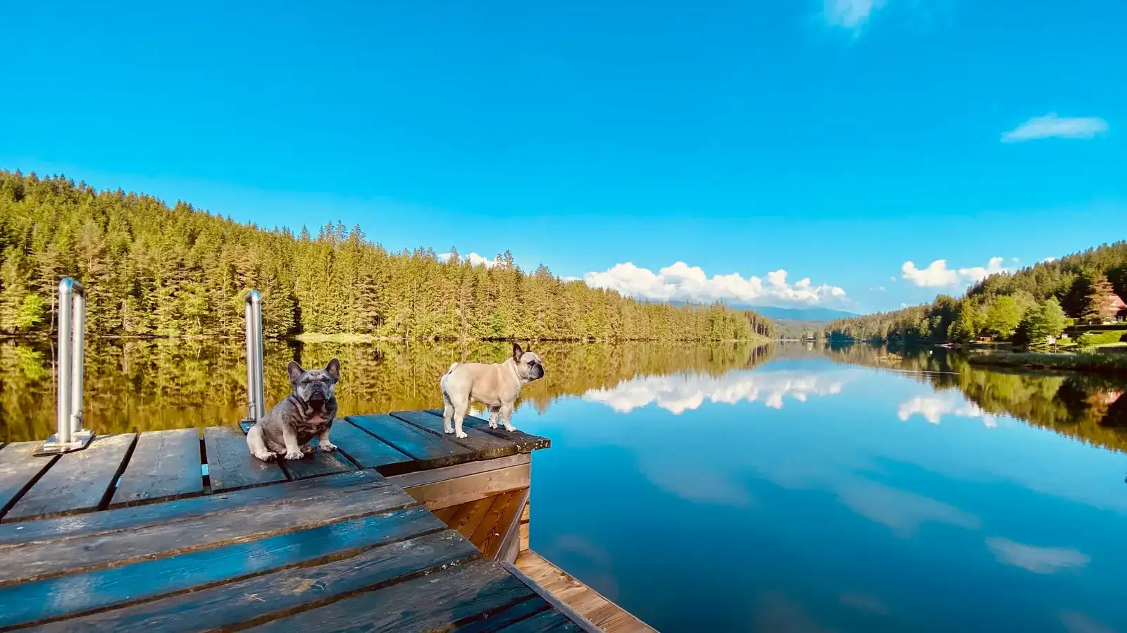 Urlaub am Packer Stausee, Steiermark