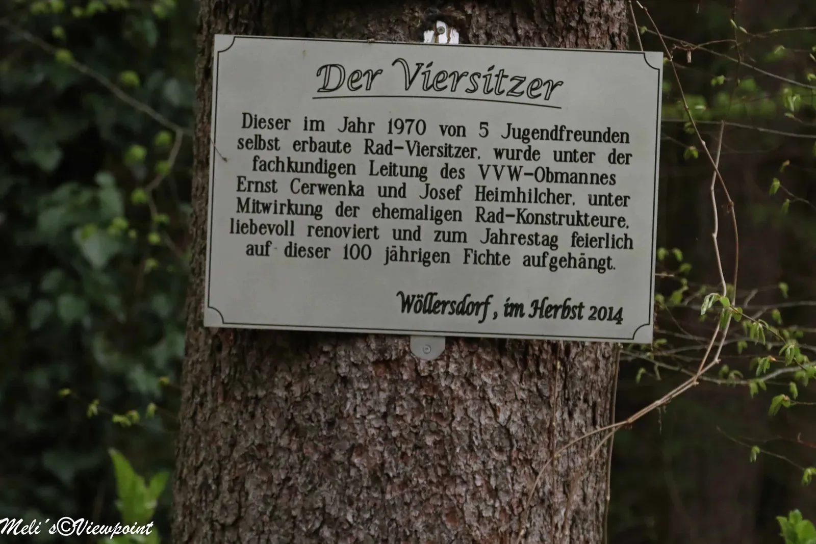 Kräuterwanderung mit Hund in Wöllersdorf-Steinabrückl