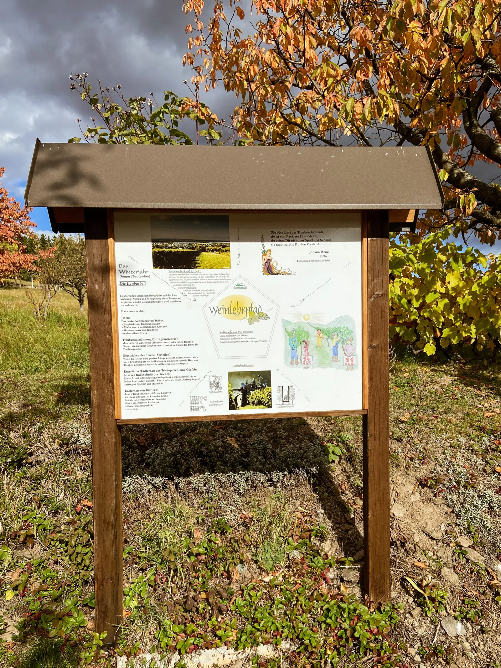 Weinlehrpfad Rechnitz Infotafel