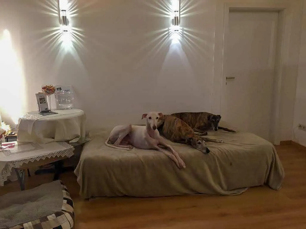 Appartement Familie Held