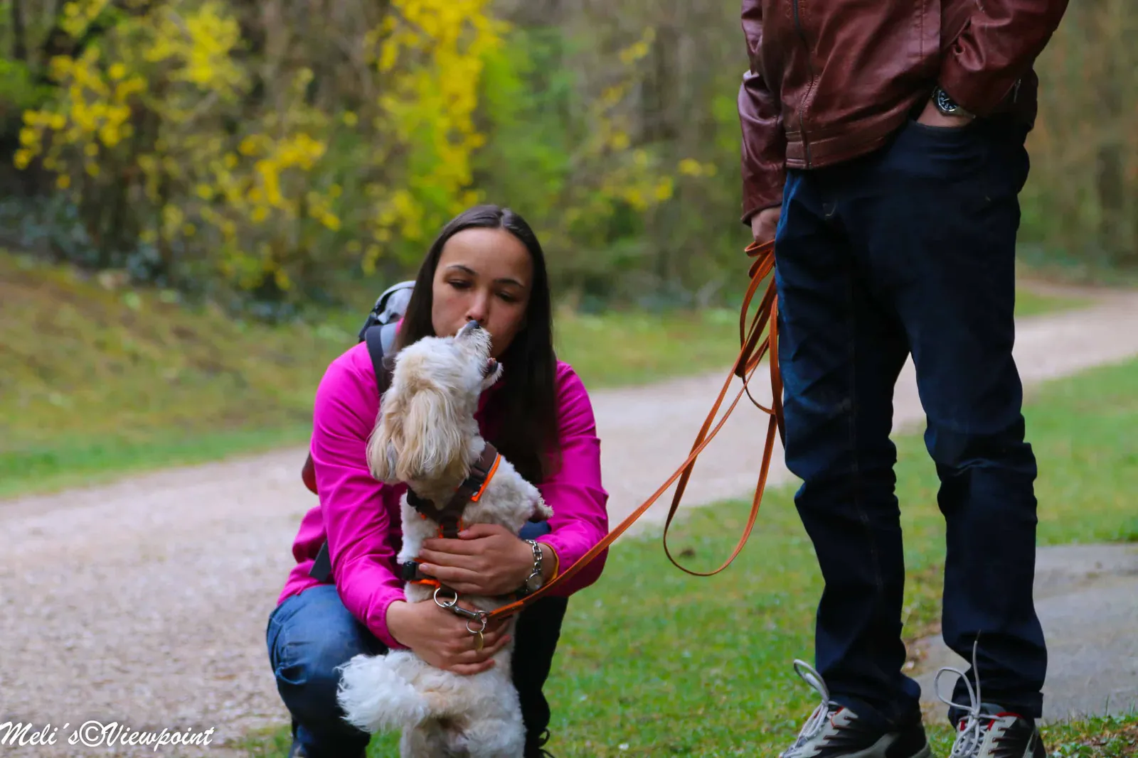 Kräuterwanderung mit Hund in Wöllersdorf-Steinabrückl