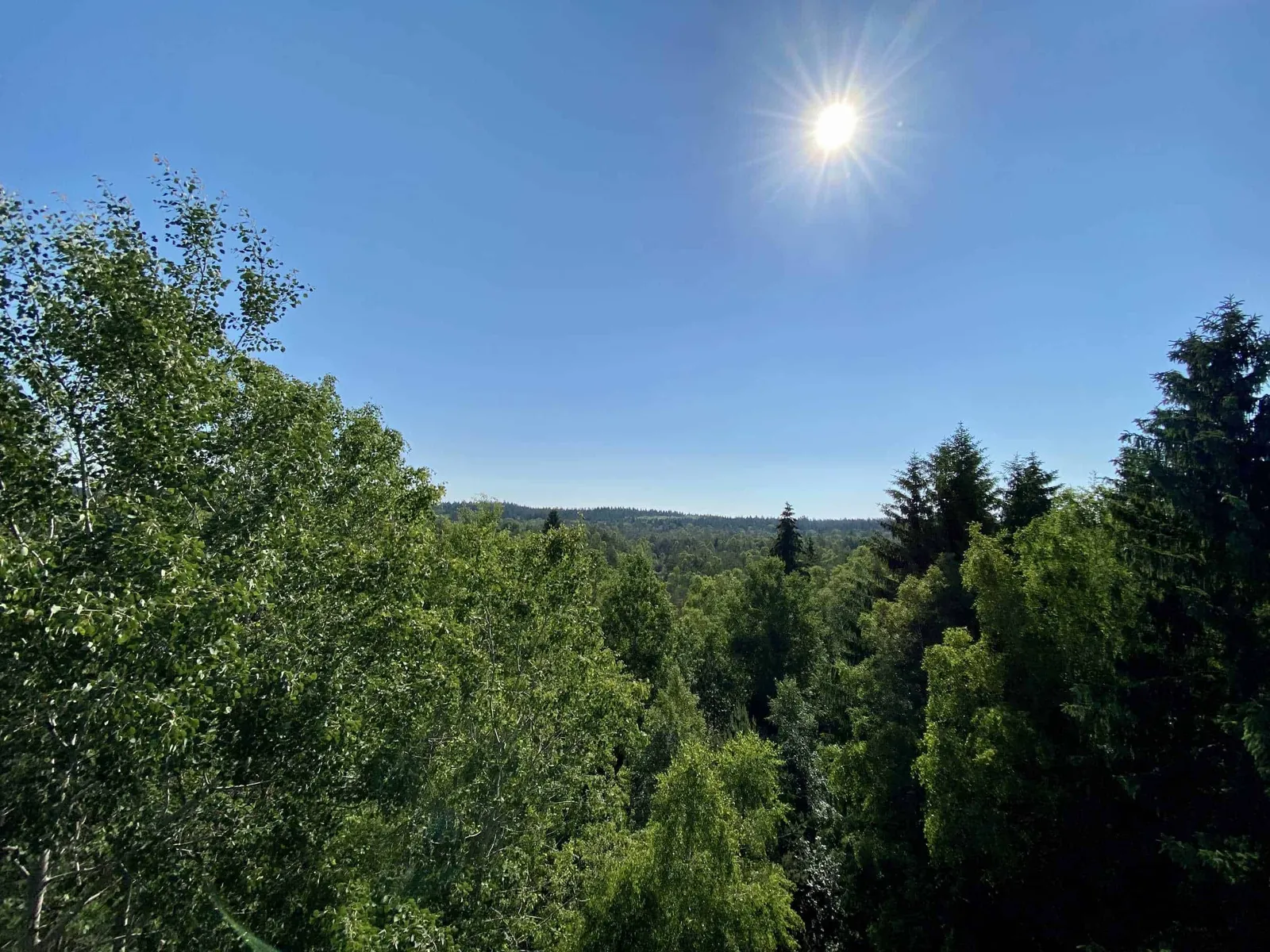 Ausblick von der Himmelsleiter