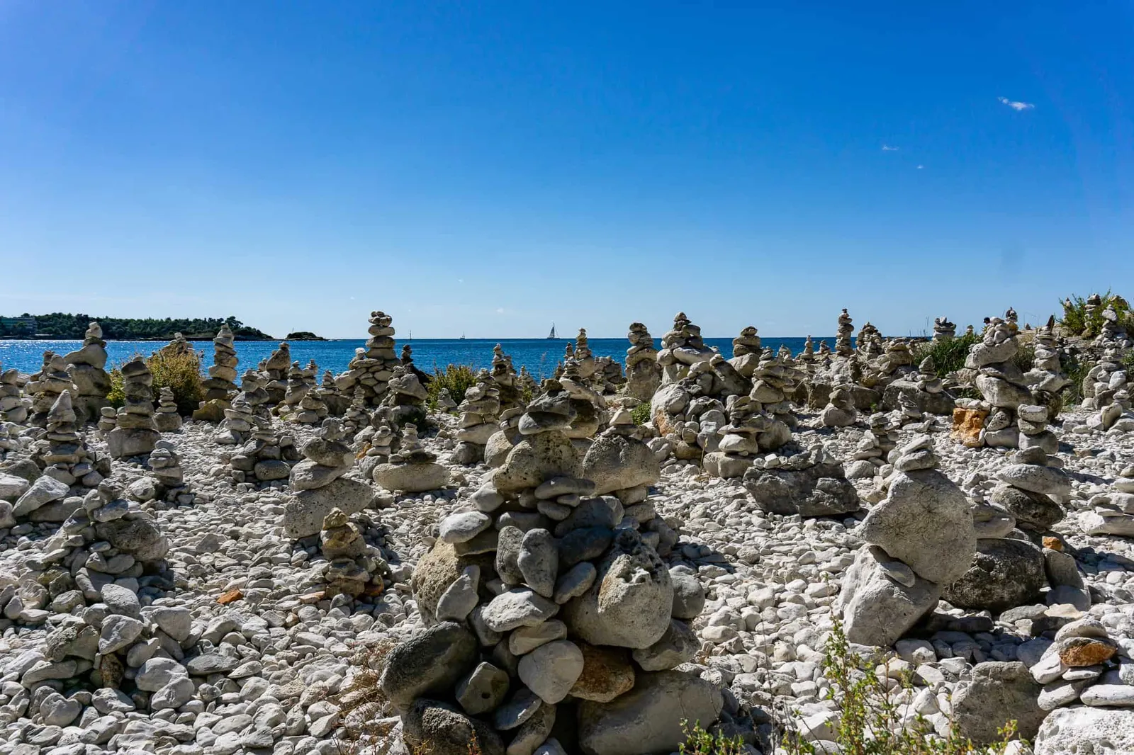 Rovinj Urlaub mit Hund Kroatien