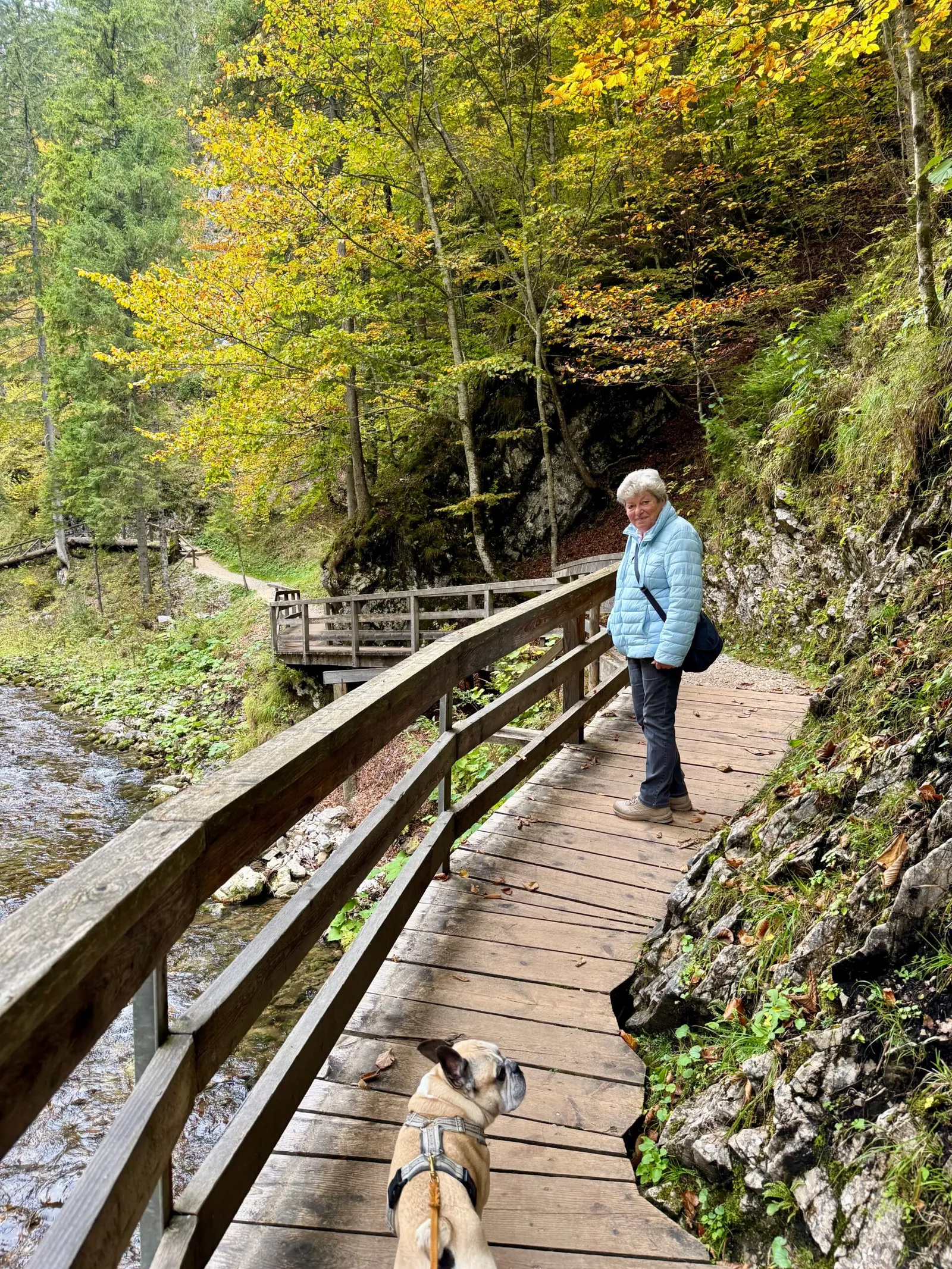Murphy und eine Frau stehen auf einem Holzsteg über einem Bach in einer herbstlichen Schlucht.