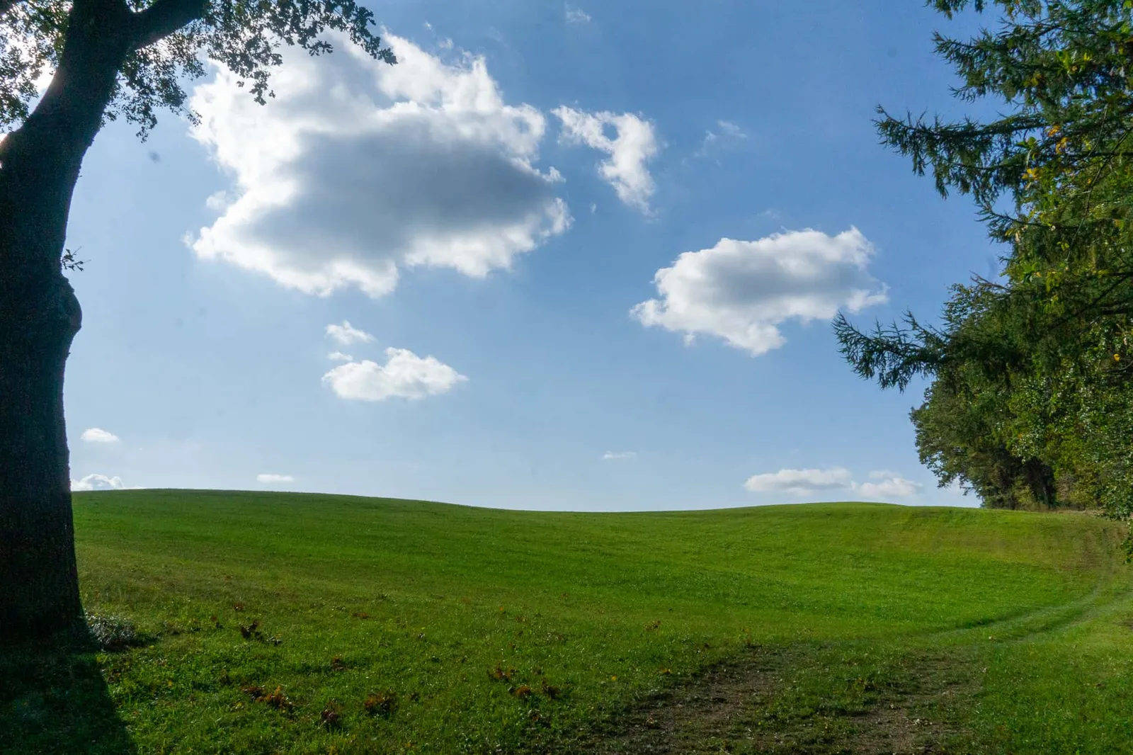 Waldviertel Zwettl Hundereise