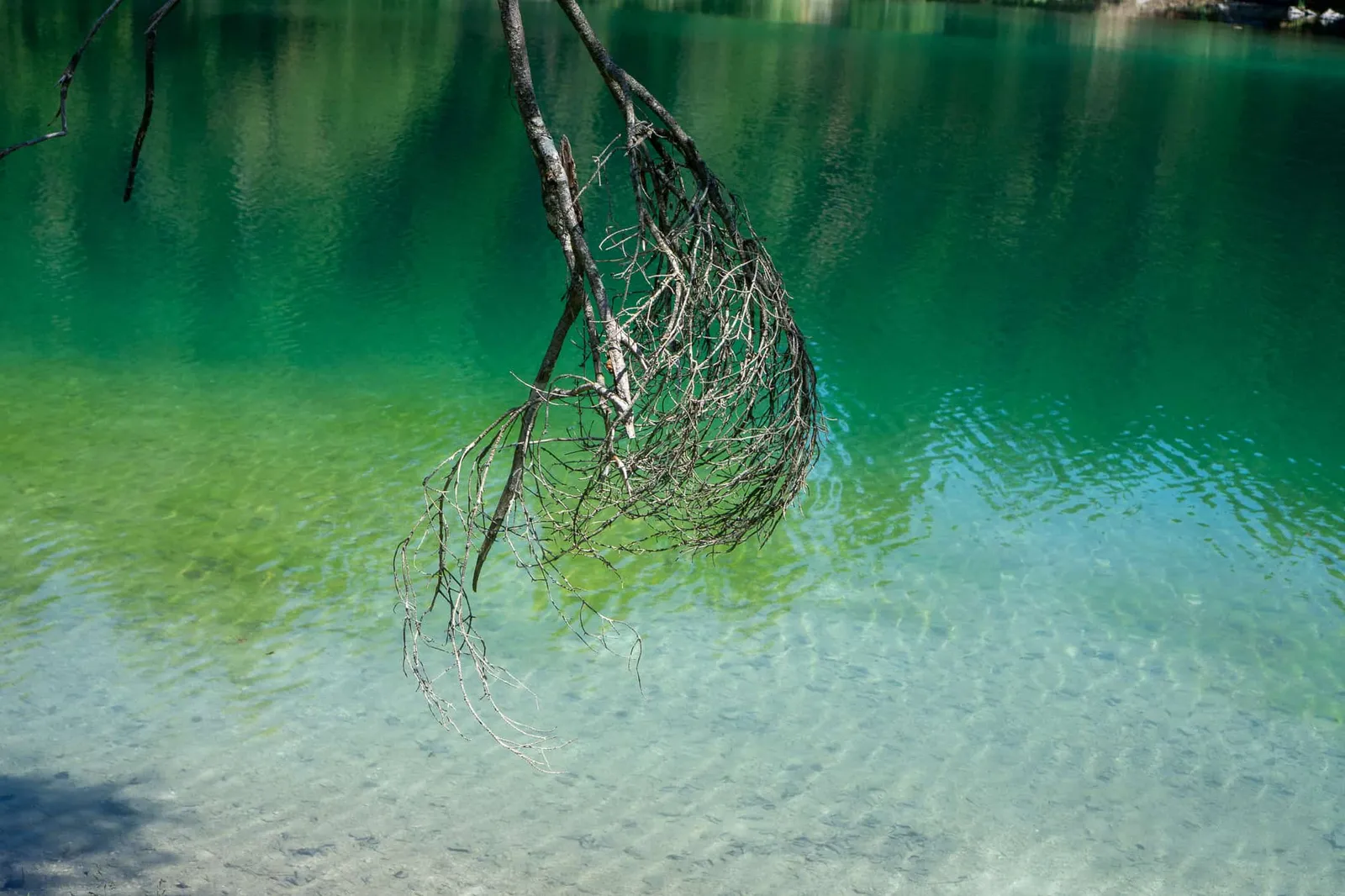Kleiner Ödsee Hundereise