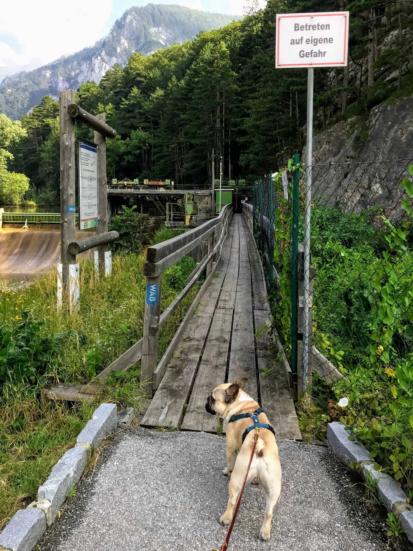 Wandern mit Hund im Höllental an der Schwarza, Niederösterreich.