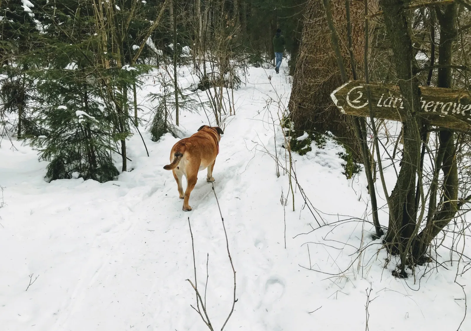 Hundeurlaub Steiermark