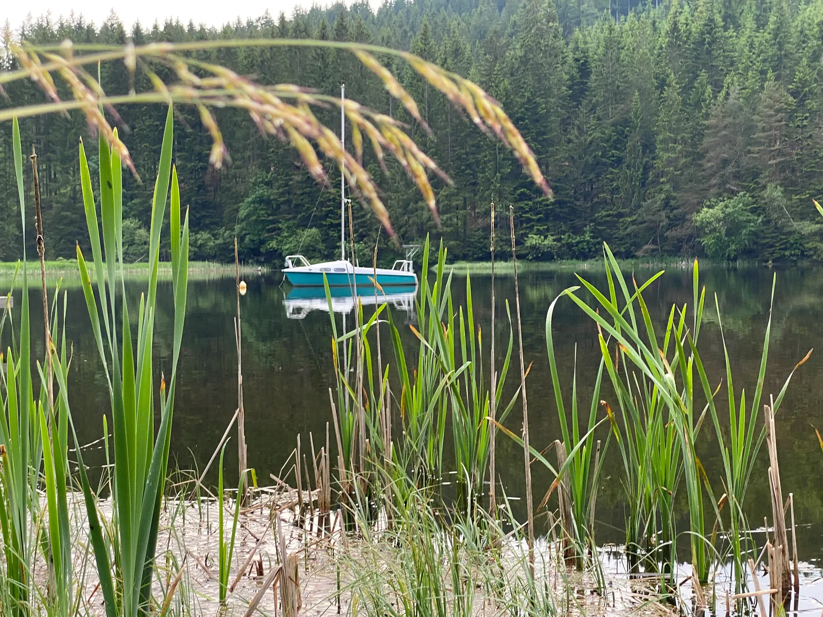 Segelboot am Packer Stausee