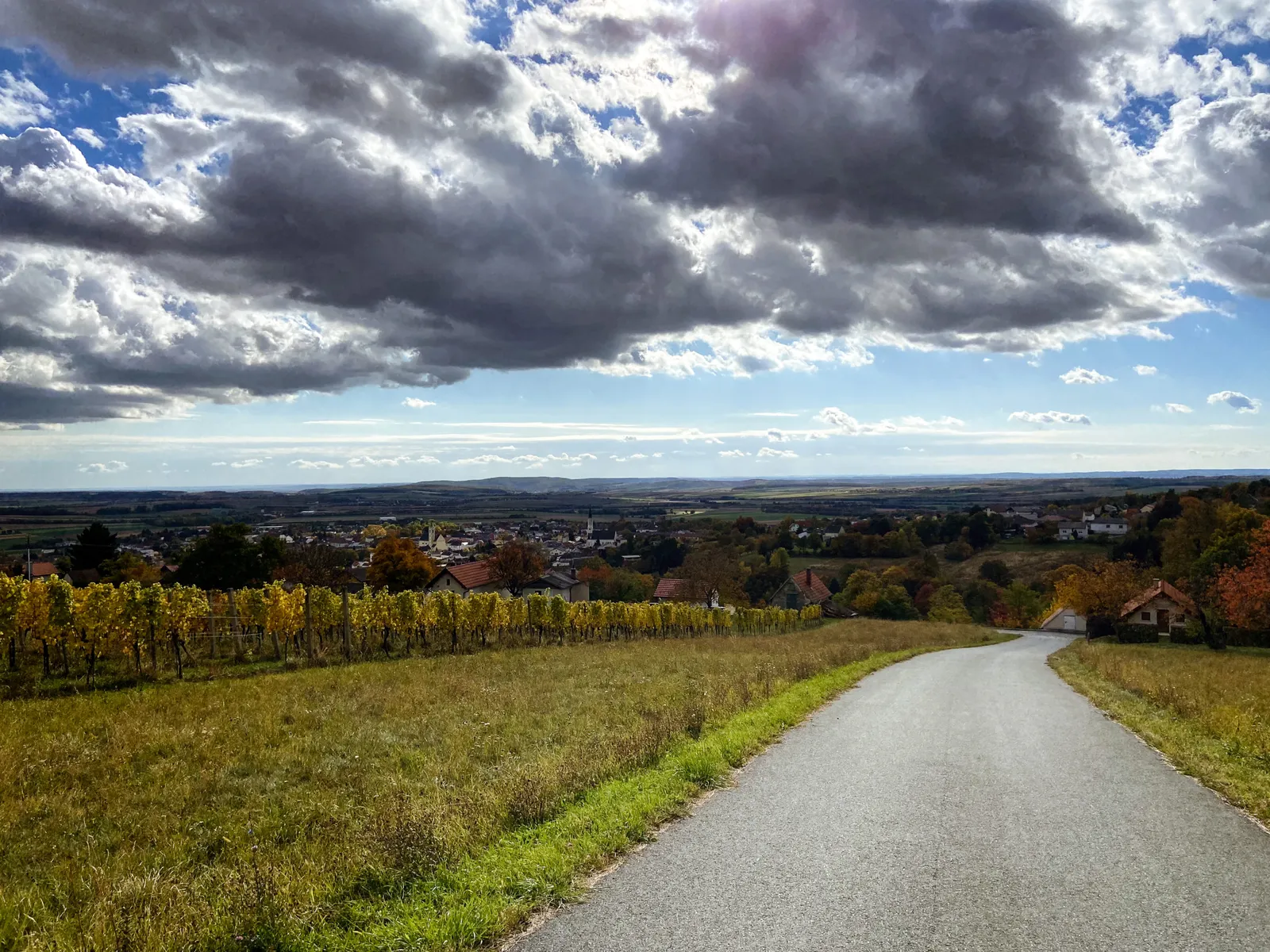 Weinlehrpfad Ausblick