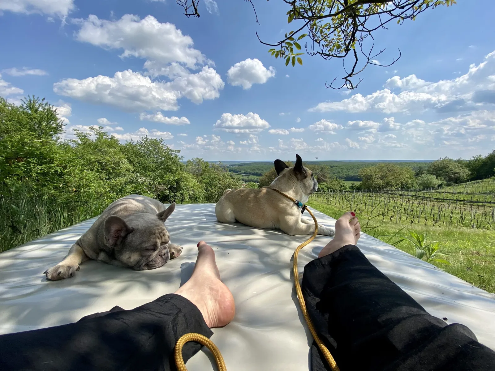 Archie Murphy und ich auf der Liege am Ende vom Weinloft Gartenhang