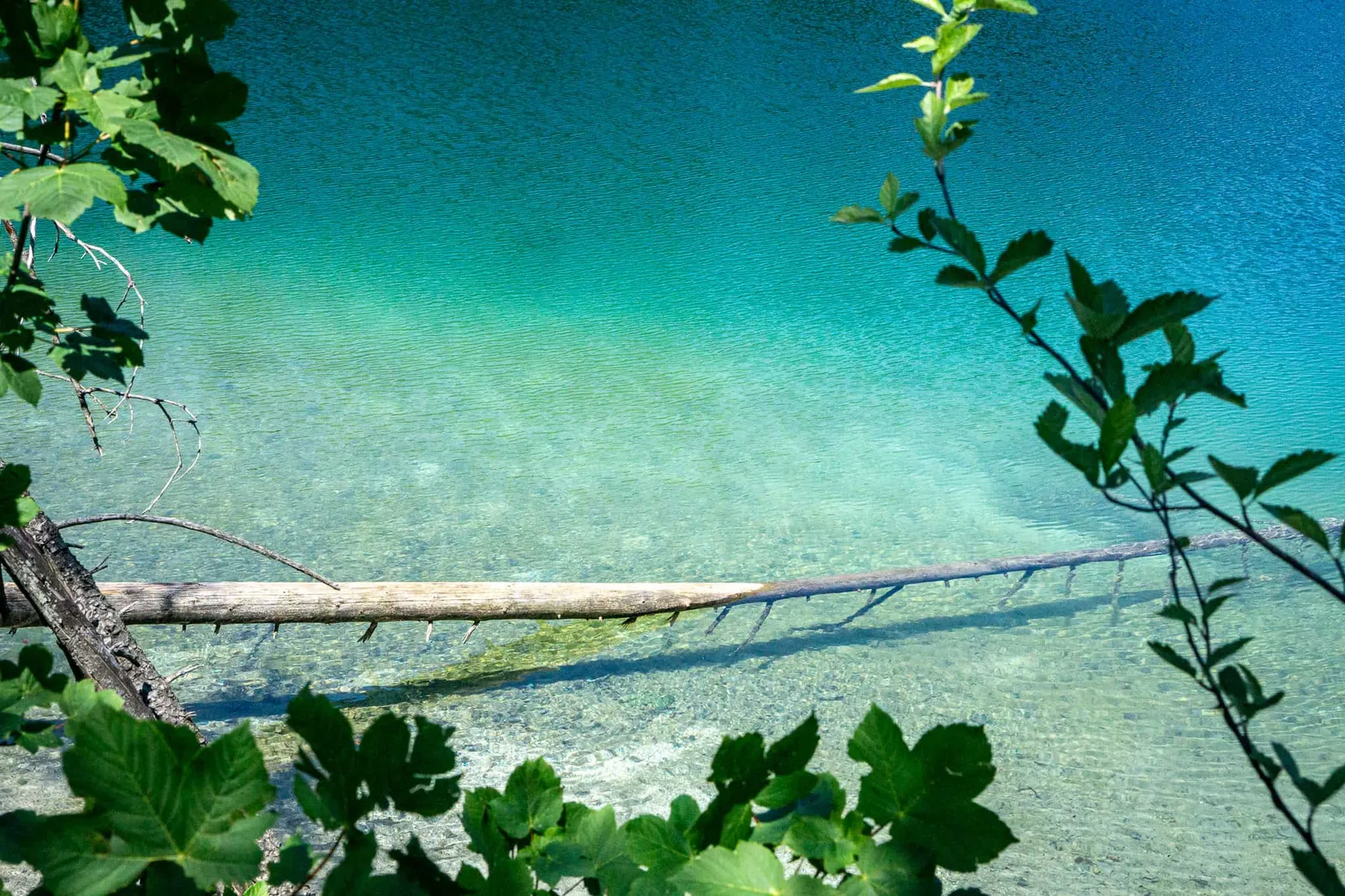 Kleiner Ödsee Hundereise