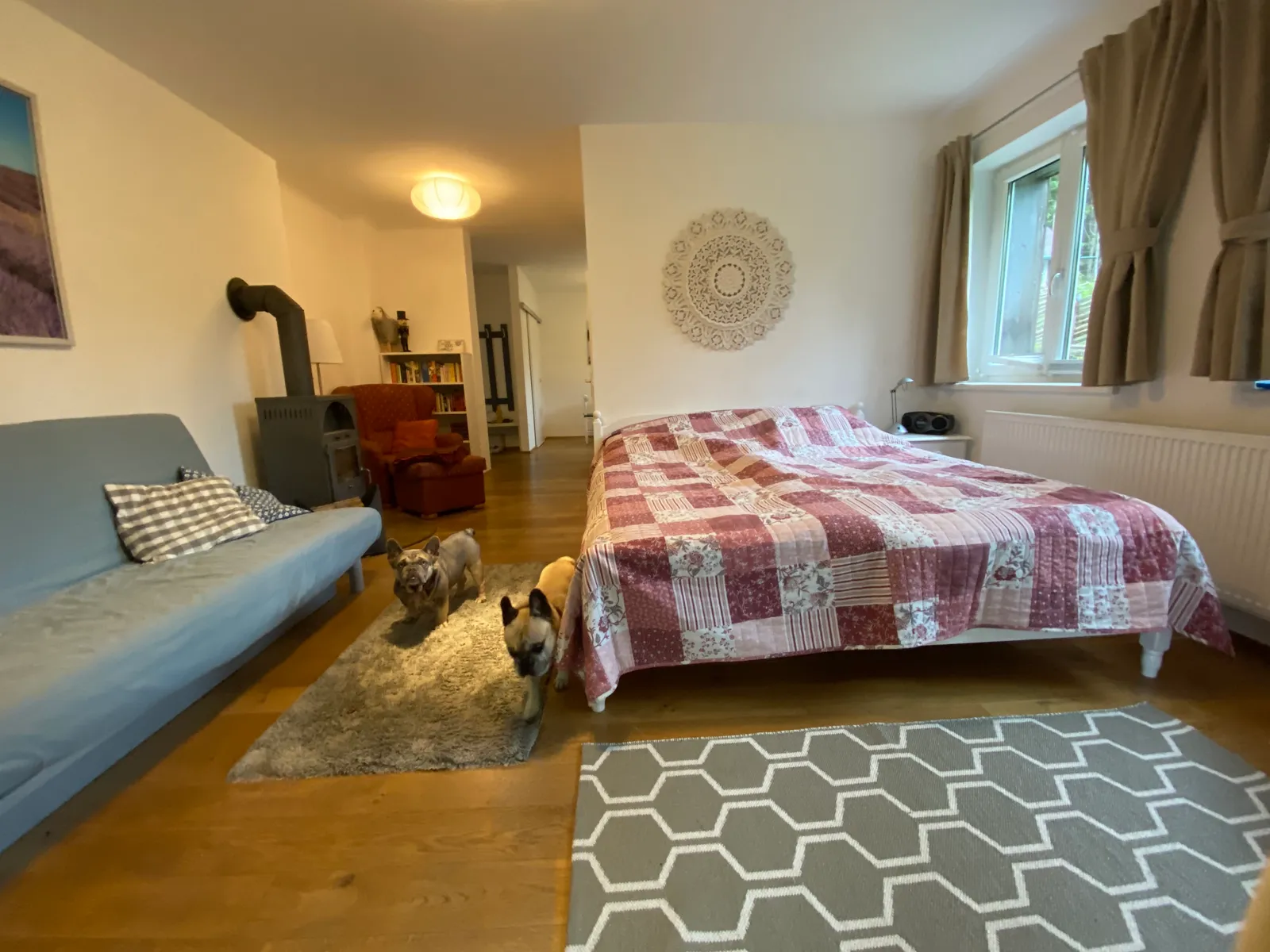 Appartement Archie und Murphy im Wohn und Schlafzimmer