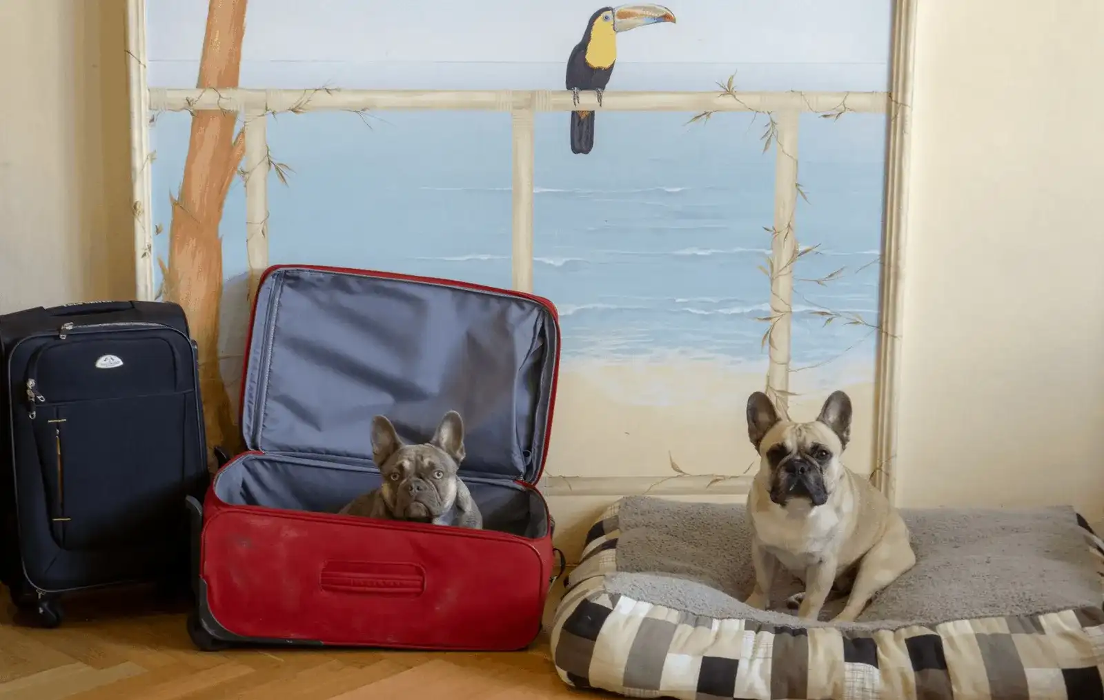 Was steht auf der Packliste für Urlaub mit Hund?