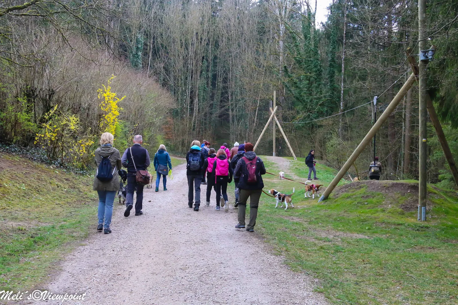 Kräuterwanderung mit Hund in Wöllersdorf-Steinabrückl
