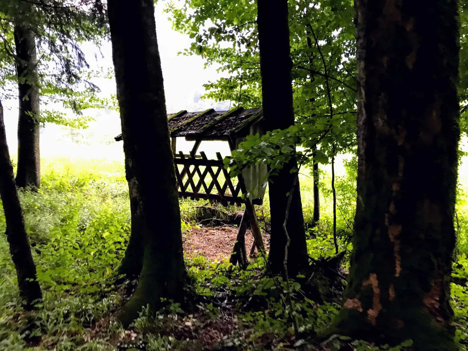 Golfplatzrunde Salzkammergut