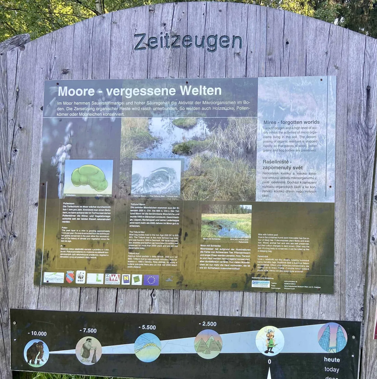 Informationstafel Moor
