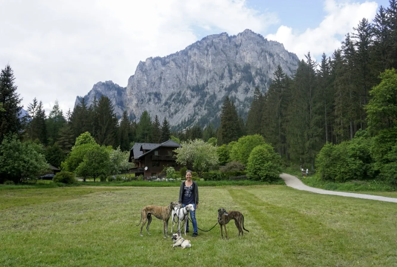 Grüner See Hundereise