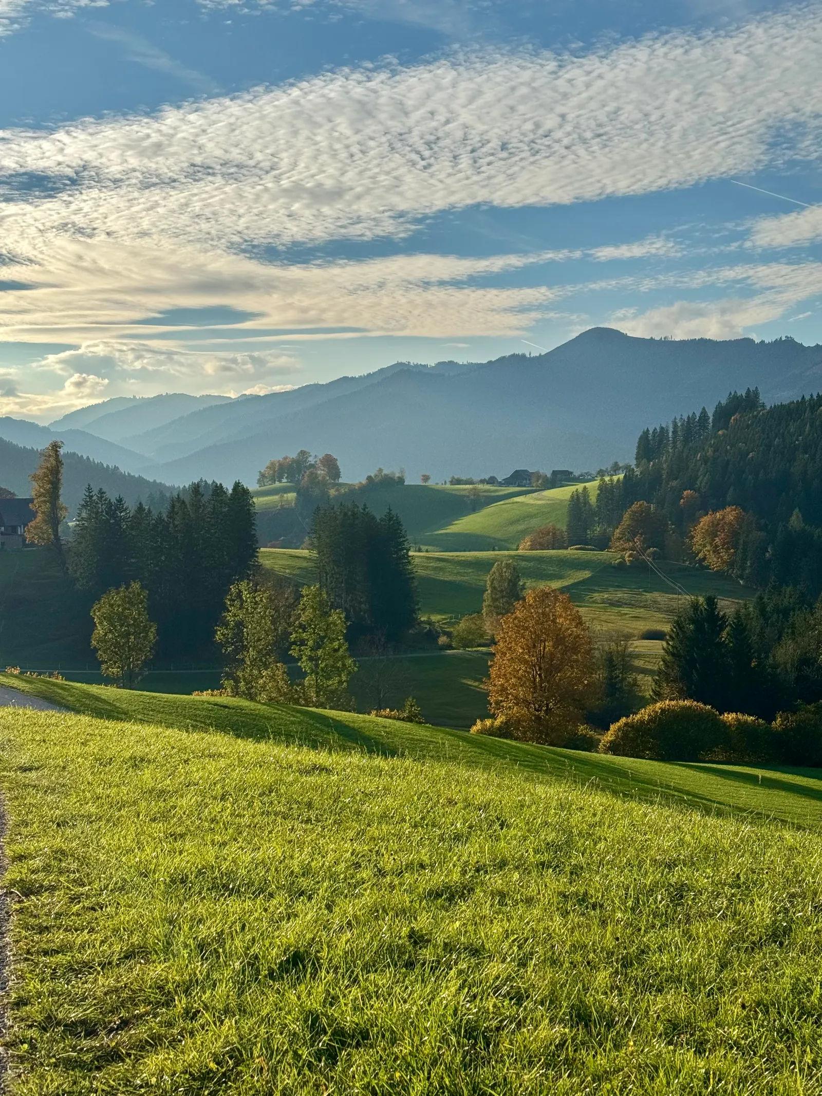 Sanft gewellte Hügellandschaft mit grünen Wiesen, Laubbäumen und Bergen im Dunst.