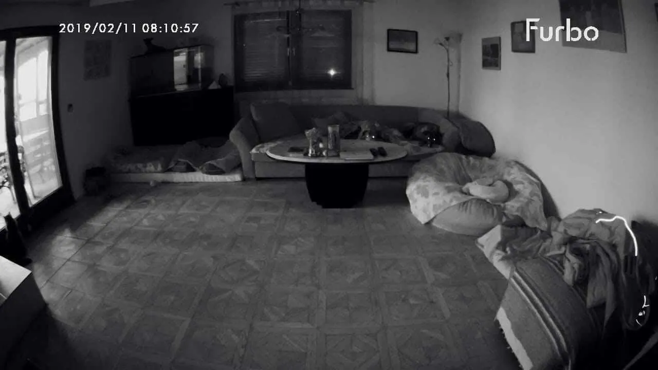 Die Furbo Hundekamera im Hundereise Test