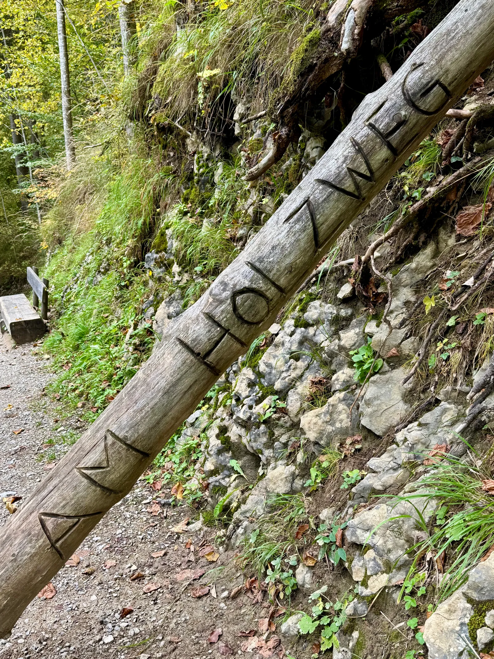 Ein Baumstamm mit der eingeschnitzten Aufschrift „Am Holzweg" lehnt an einer bemoosten Felswand.