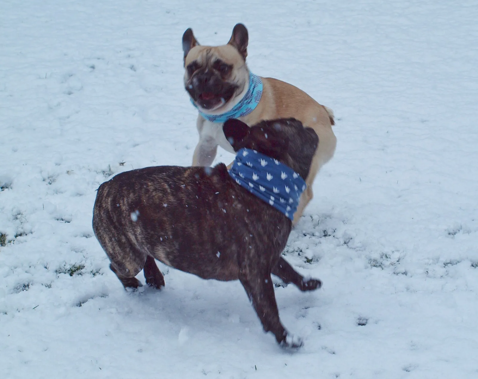 Playtime