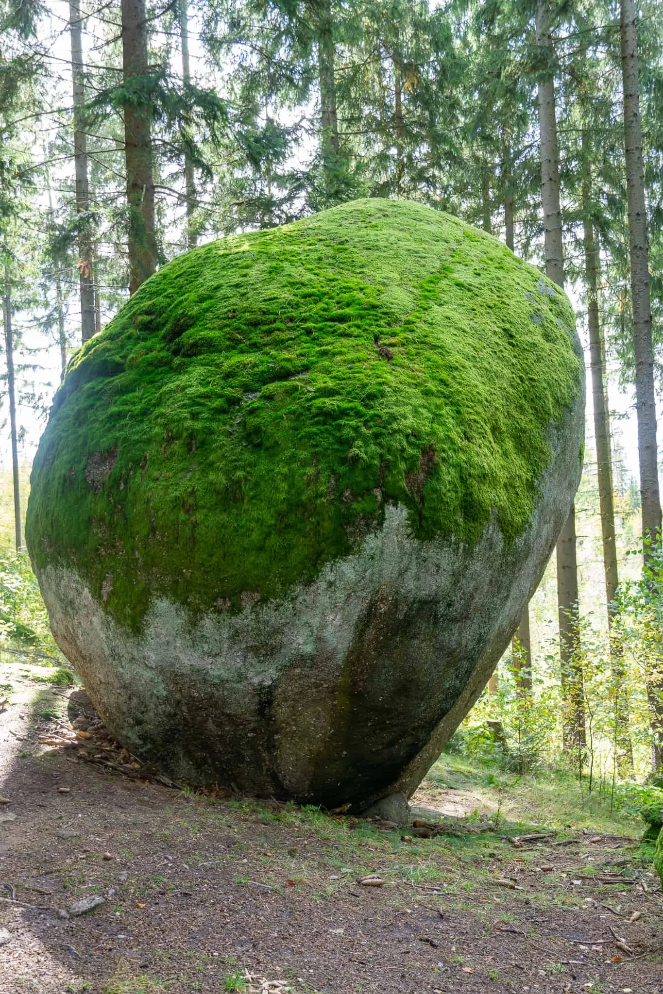 Weltkugel Hundereise