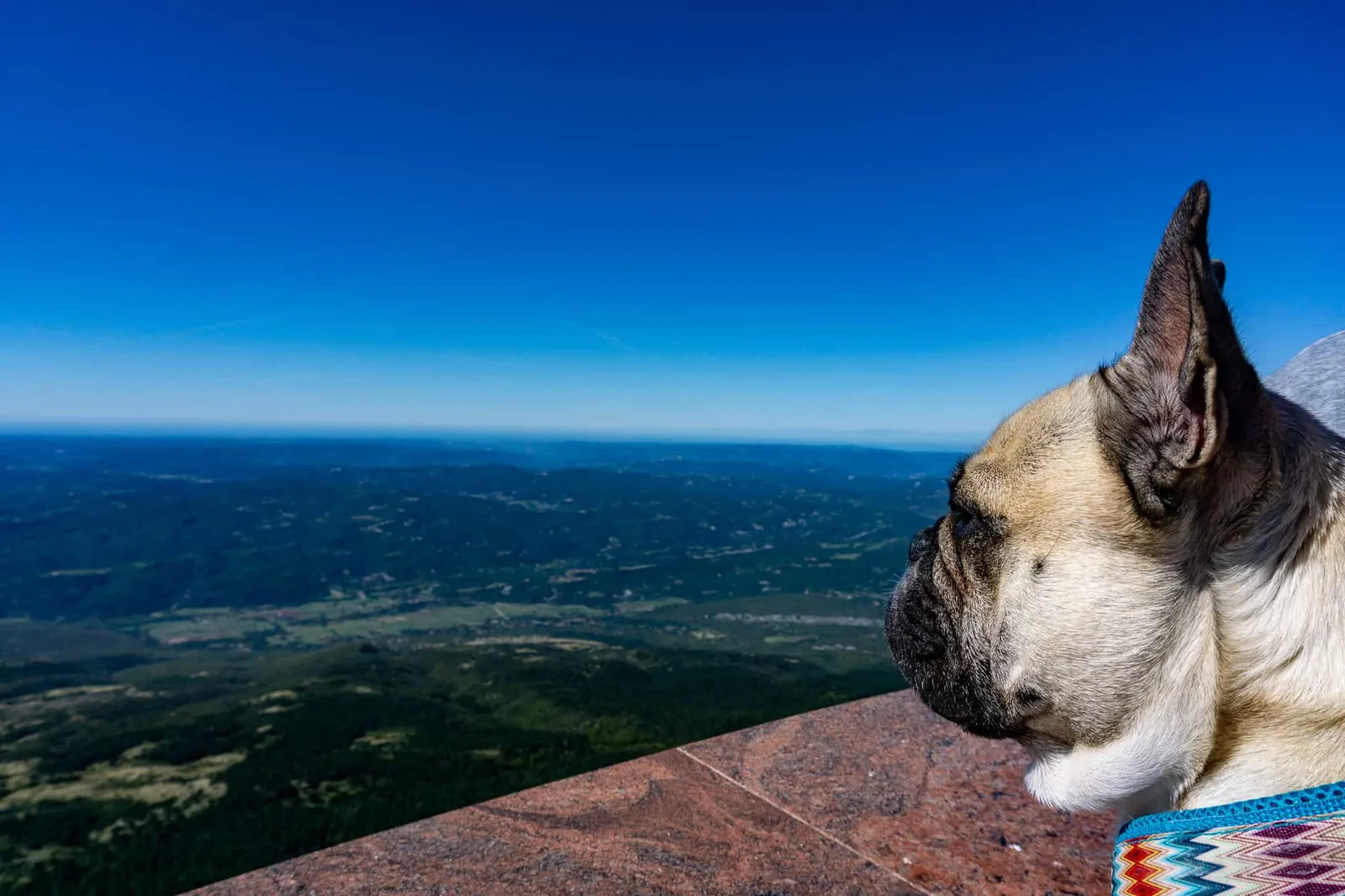 Urlaub Wandern Hund Vojak Kroatien