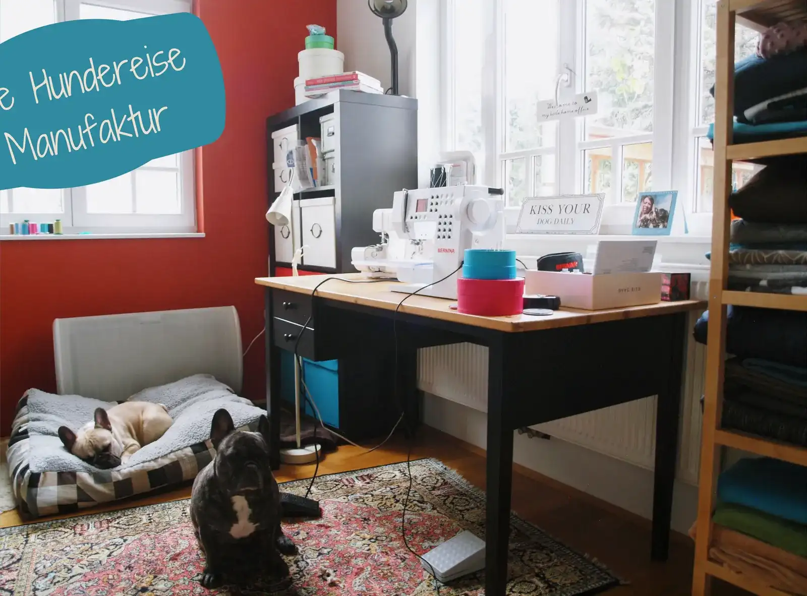 Der Hund als Berufung! Oder: Wie ich meine Leidenschaft zum Nähen entdeckt habe?