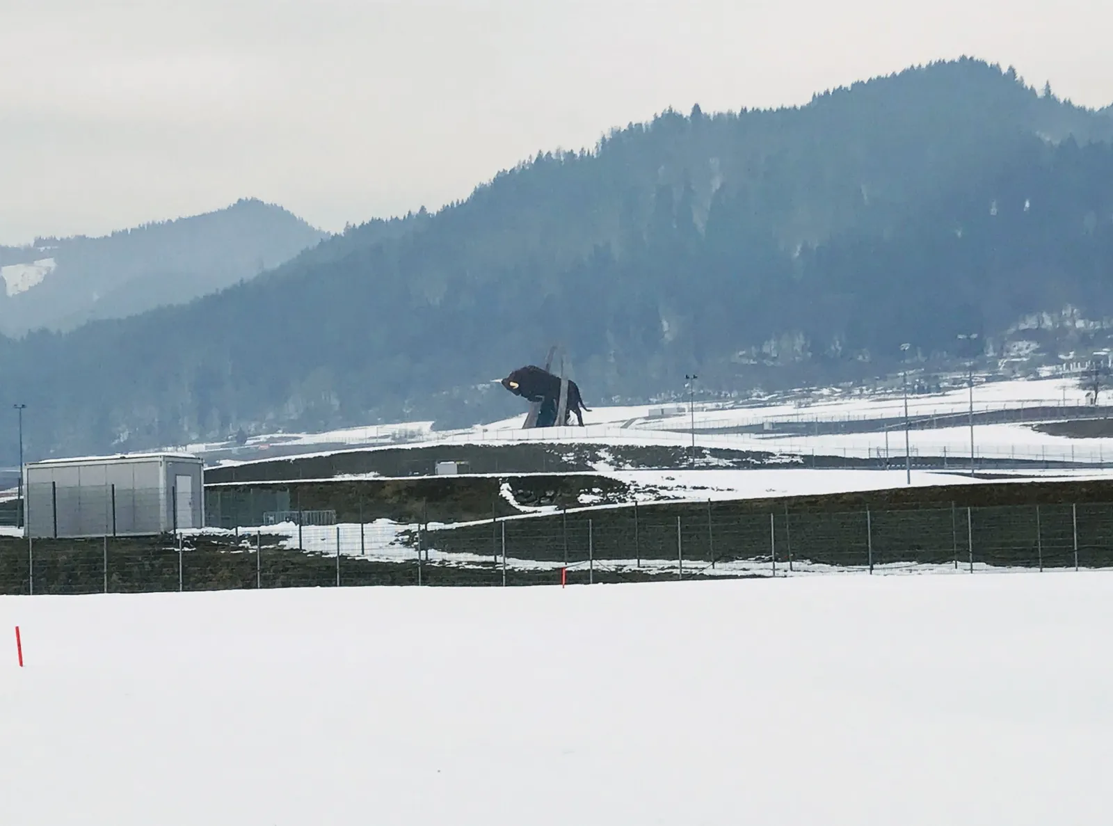 Hundeurlaub Steiermark